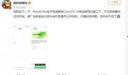 站哥最新爆料,揭秘娱乐圈最新动态，带你走进幕后真相