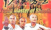 少年英雄方世玉在线观看,武林传奇，少年英雄的成长之路