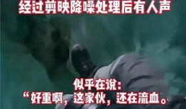漂泊二哥爆料事件视频大全,揭秘事件背后真相