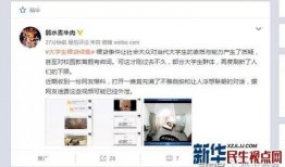 刘先生爆料视频播放大全,揭秘事件真相与幕后黑幕
