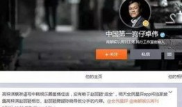 意大利狗仔爆料事件视频,揭秘娱乐圈幕后真相