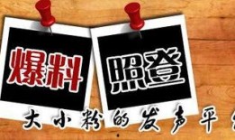 各大媒体新闻爆料平台,各大新闻爆料平台最新动态汇总