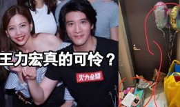 王力宏老爸爆料视频,揭秘明星家庭背后的故事