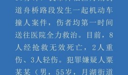 撞人新闻爆料
