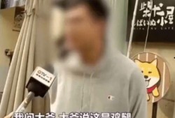 刘先生爆料视频播放大全,揭秘事件真相与幕后黑幕