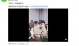 刘先生爆料视频播放大全,揭秘事件真相与幕后黑幕