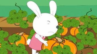 娱乐吃瓜小兔子